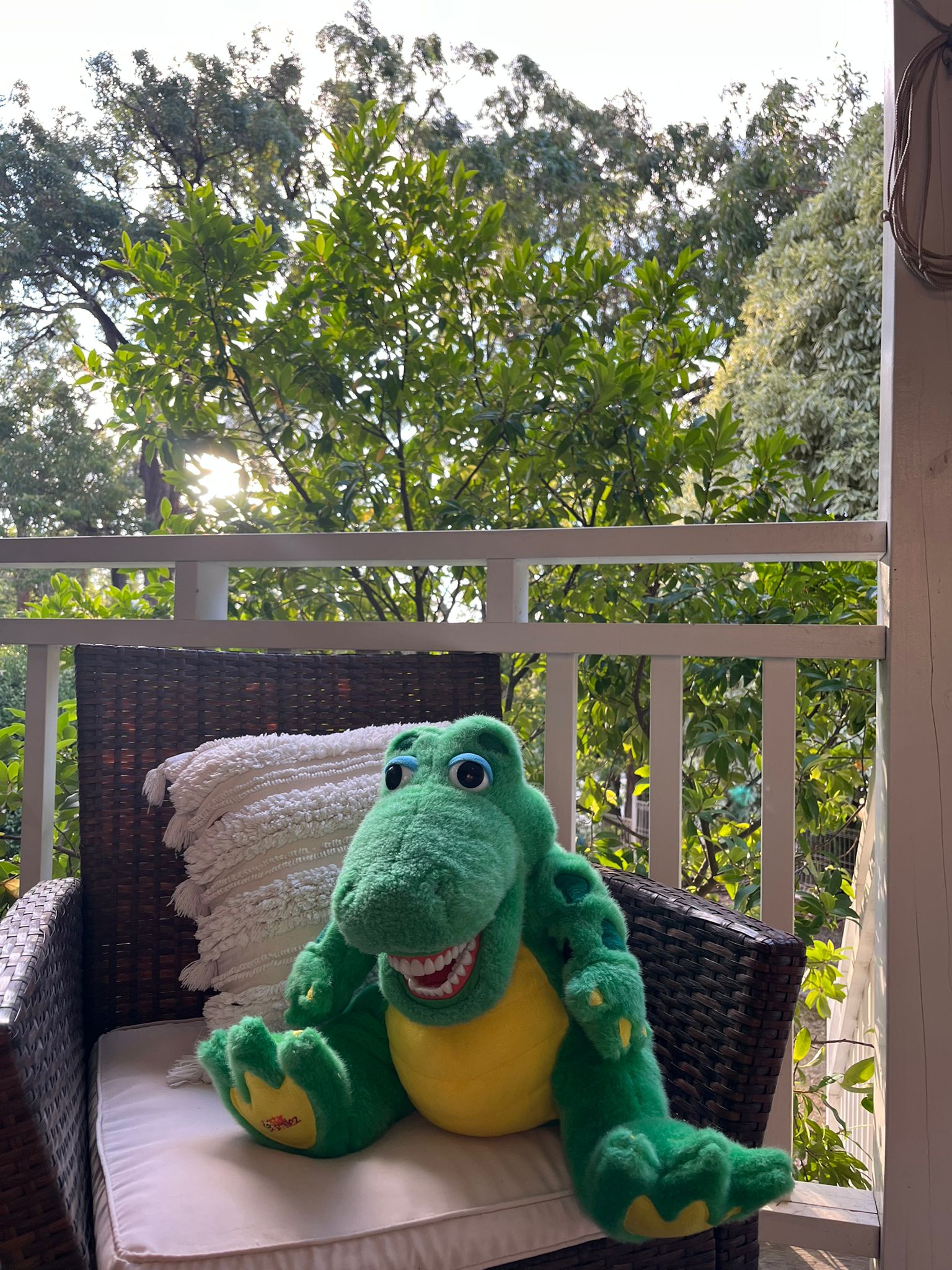 Mr. Dino needs some TLC 🦖😅